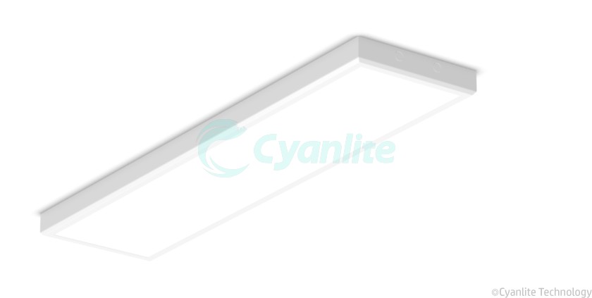  IK10 IK11 IP65 vandal proof led lighting
